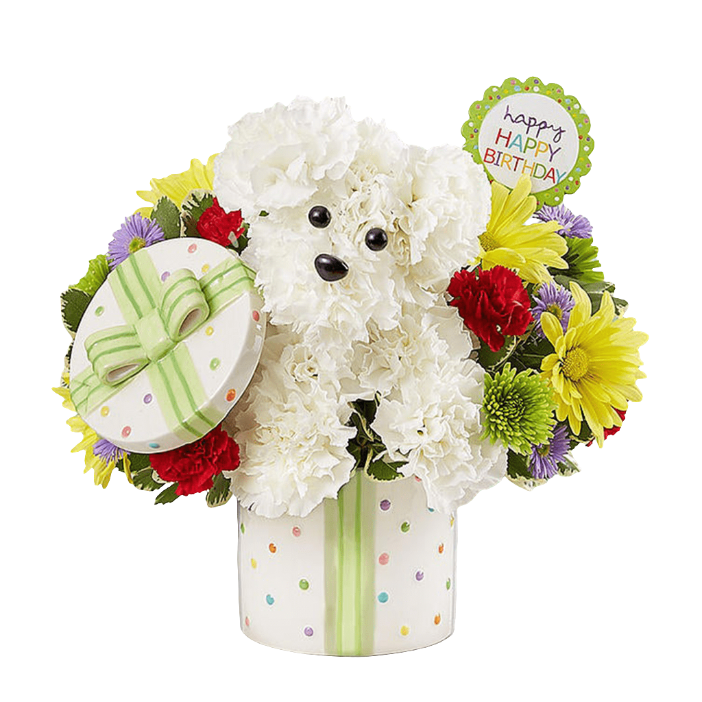 Comprensivo / Flores