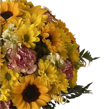 Cargar imagen en el visor de la galería, Prodigiosa - Caja Circular Flores Amarillas | Girasoles, Claveles y Gerberas Bogotá