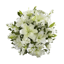 Load image into Gallery viewer, Elegant