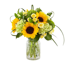 Cargar imagen en el visor de la galería, Girasoles Hortensias Rosas Amarillas 24H Bogotá | Días Iluminados Entrega Inmediata