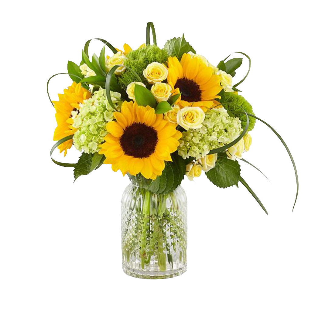 Girasoles Hortensias Rosas Amarillas 24H Bogotá | Días Iluminados Entrega Inmediata