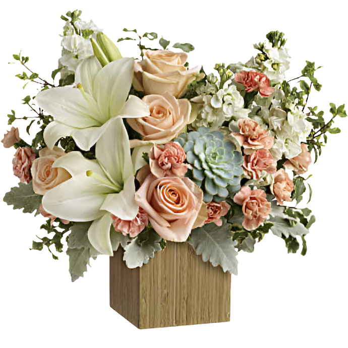 Independiente / Unico como Tu