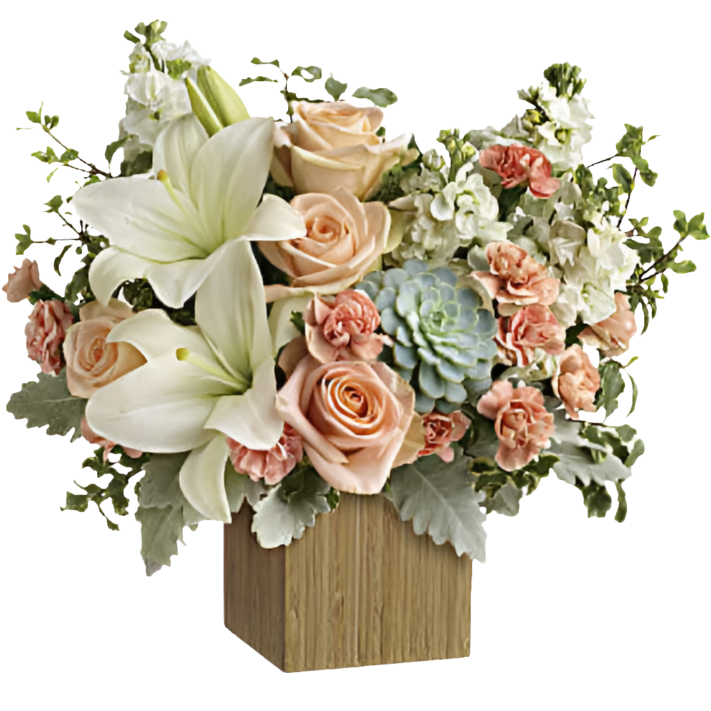 Independiente / Unico como Tu