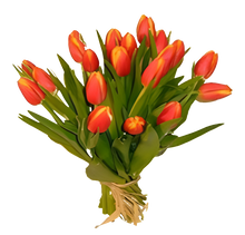 Cargar imagen en el visor de la galería, Regalo 10 Tulipanes