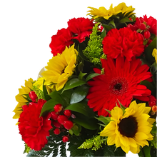 Cargar imagen en el visor de la galería, Caja Esplendorosa Girasoles Negra Bogotá | Para Ella