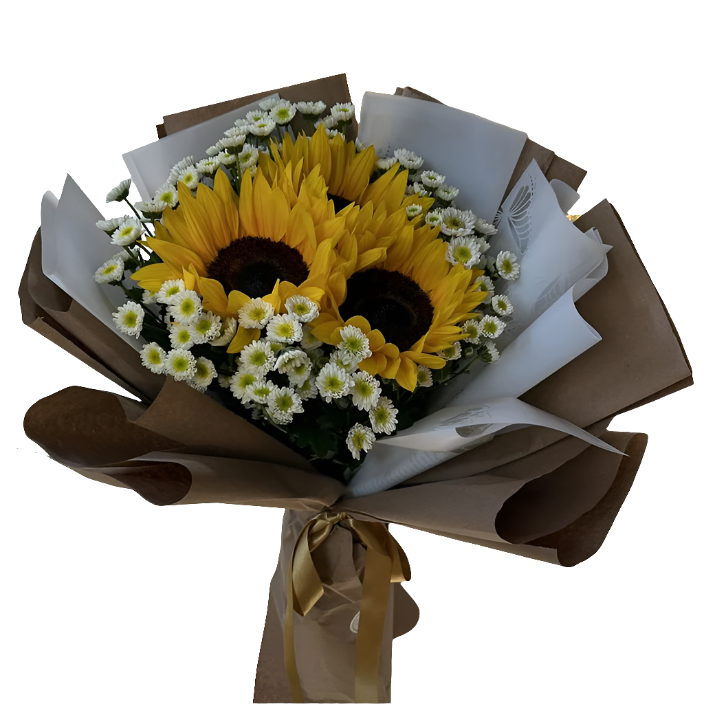 Comprar Girasoles Frescos Bouquet | Floristería 24 Horas Bogotá | Entrega Inmediata Girasoles