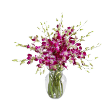 Cargar imagen en el visor de la galería, Arreglo Floral Majestad Púrpura 24H Bogotá | Flores Moradas Premium Entrega Inmediata