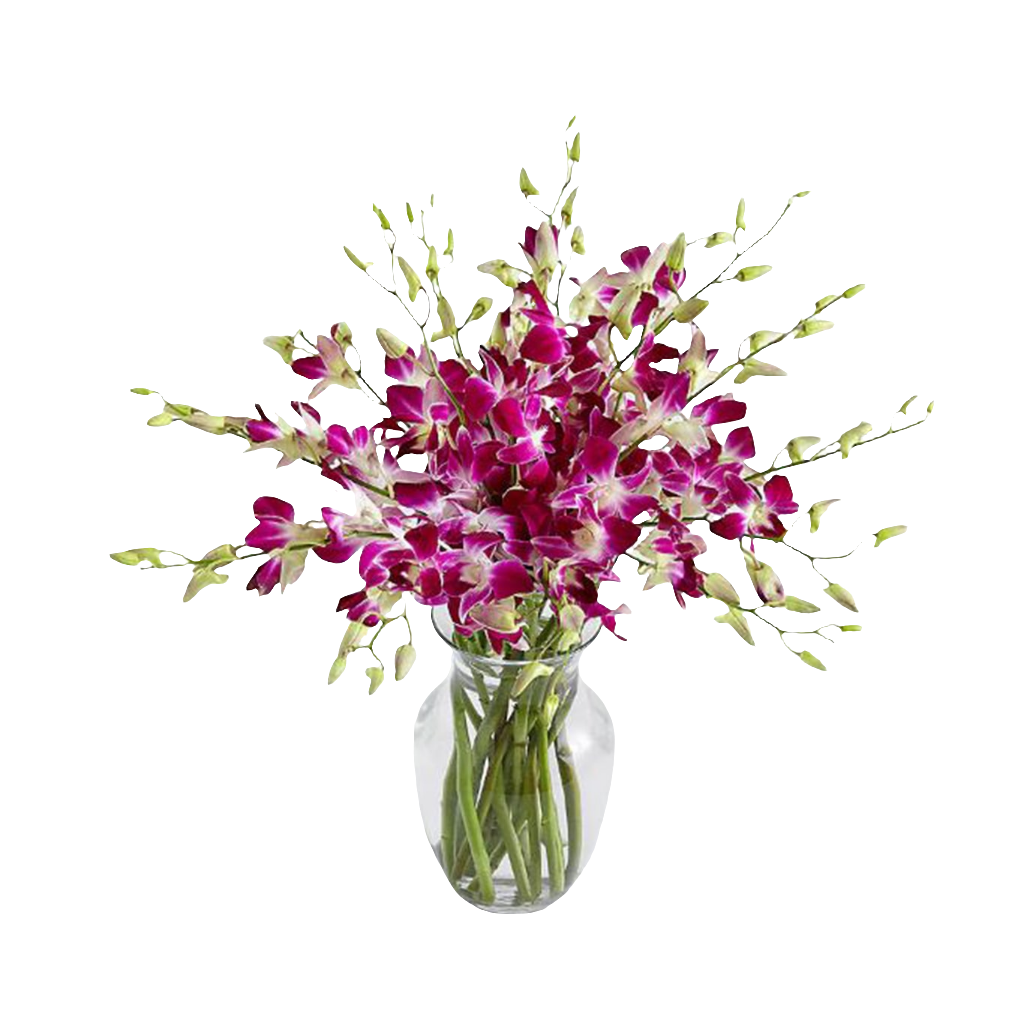 Arreglo Floral Majestad Púrpura 24H Bogotá | Flores Moradas Premium Entrega Inmediata