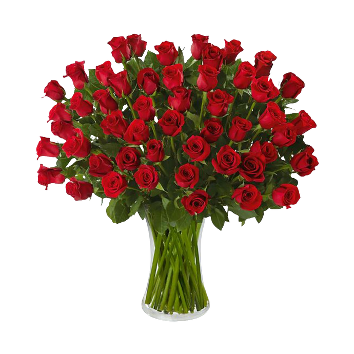 50 Rosas Rojas Tallo Largo Premium 24H Bogotá | Amor Pasión Entrega Inmediata