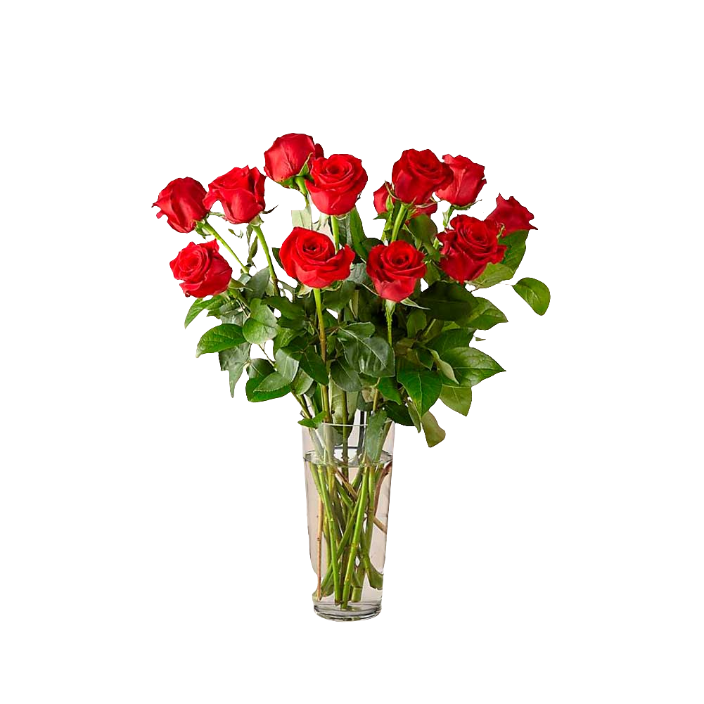 Ramo de rosas rojas de tallo largo