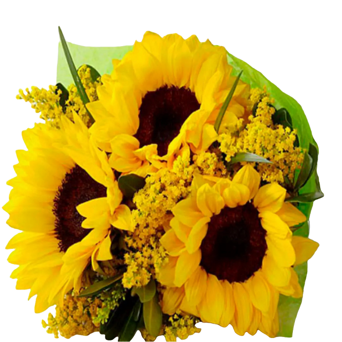 Bouquet Honesto - Ramo 3 Girasoles Frescos Alegría Bogotá