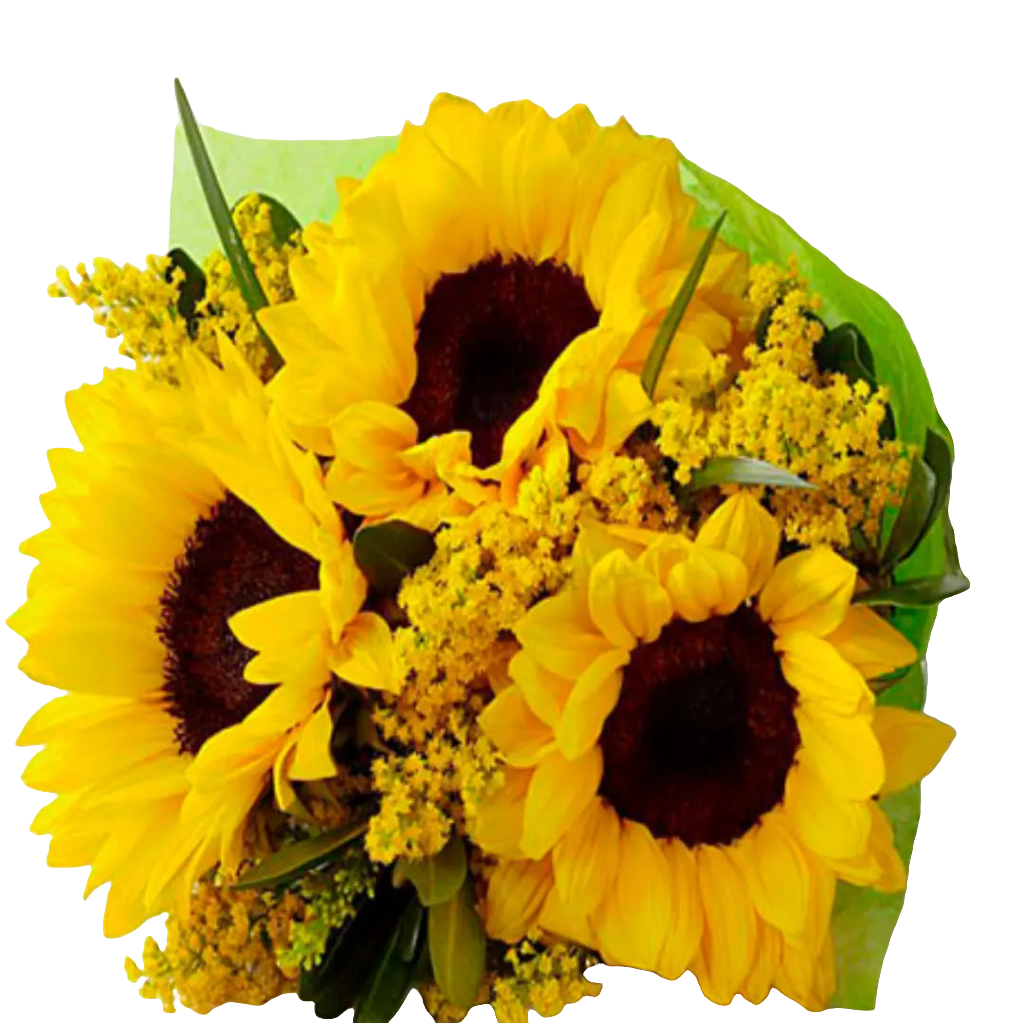 Bouquet Honesto - Ramo 3 Girasoles Frescos Alegría Bogotá