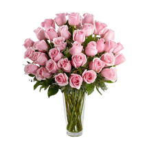Cargar imagen en el visor de la galería, Ramo Rosas Rosadas Tallo Largo 24H Bogotá | Premium Entrega Inmediata