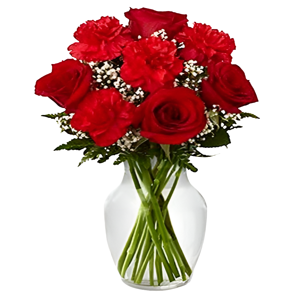 Comprometida Rosas 🌹