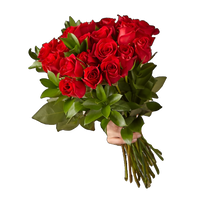 Cargar imagen en el visor de la galería, Bouquet Paciente - Ramo 24 Rosas Rojas Amor Romántico Bogotá