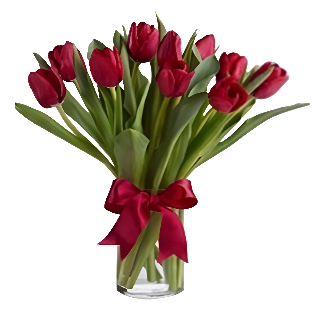 Regalo 10 Tulipanes
