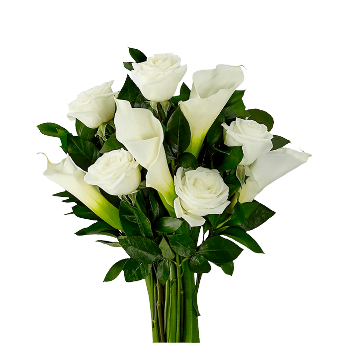 Compasión / Funeral