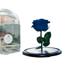 Cargar imagen en el visor de la galería, Rosa Preservada Infinito Amor 24H Bogotá | Flores Eternas Entrega Inmediata