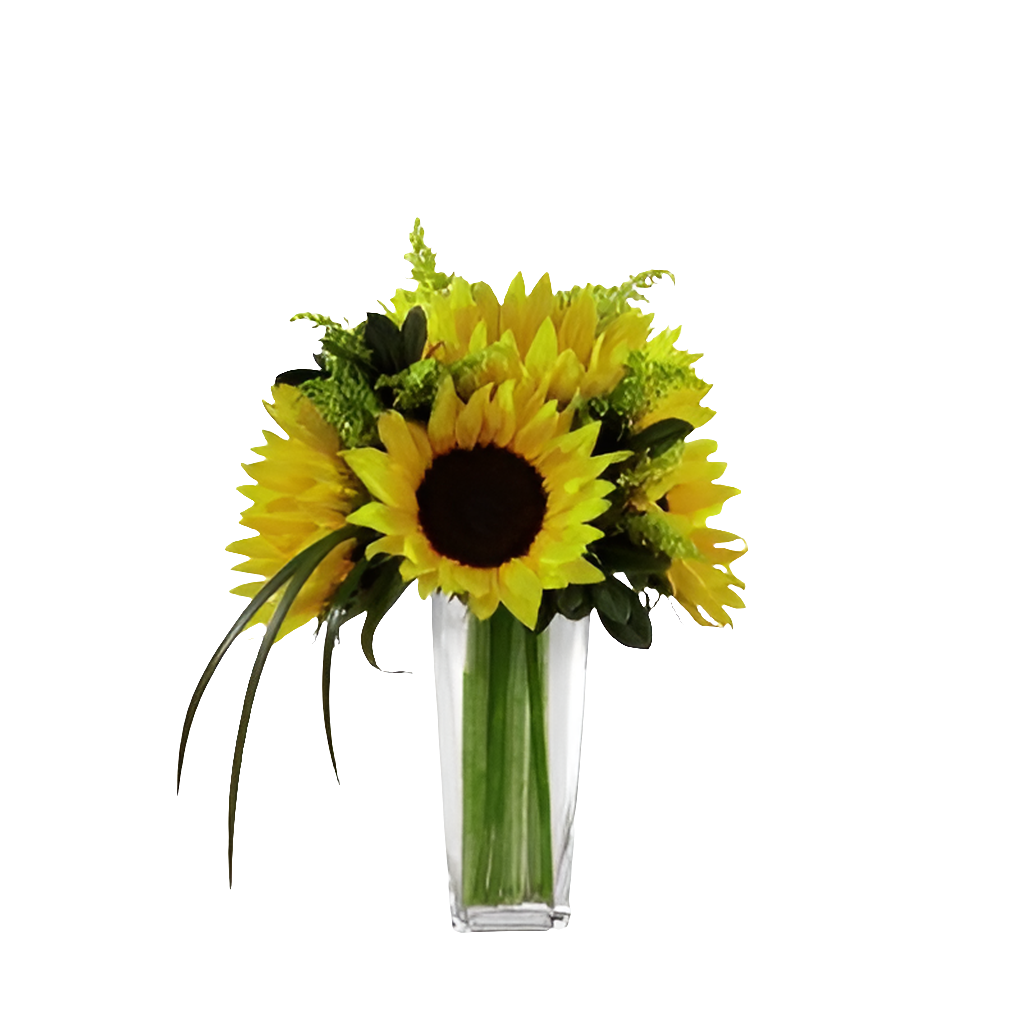 Contemplativa / Girasoles