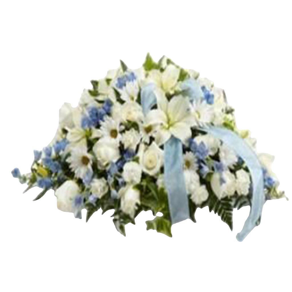 Cautelosa / Arreglo Funebre