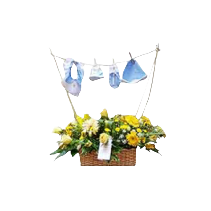 Flores Nacimiento Bebé Noble 24H Bogotá | Baby Shower Maternidad Entrega Inmediata