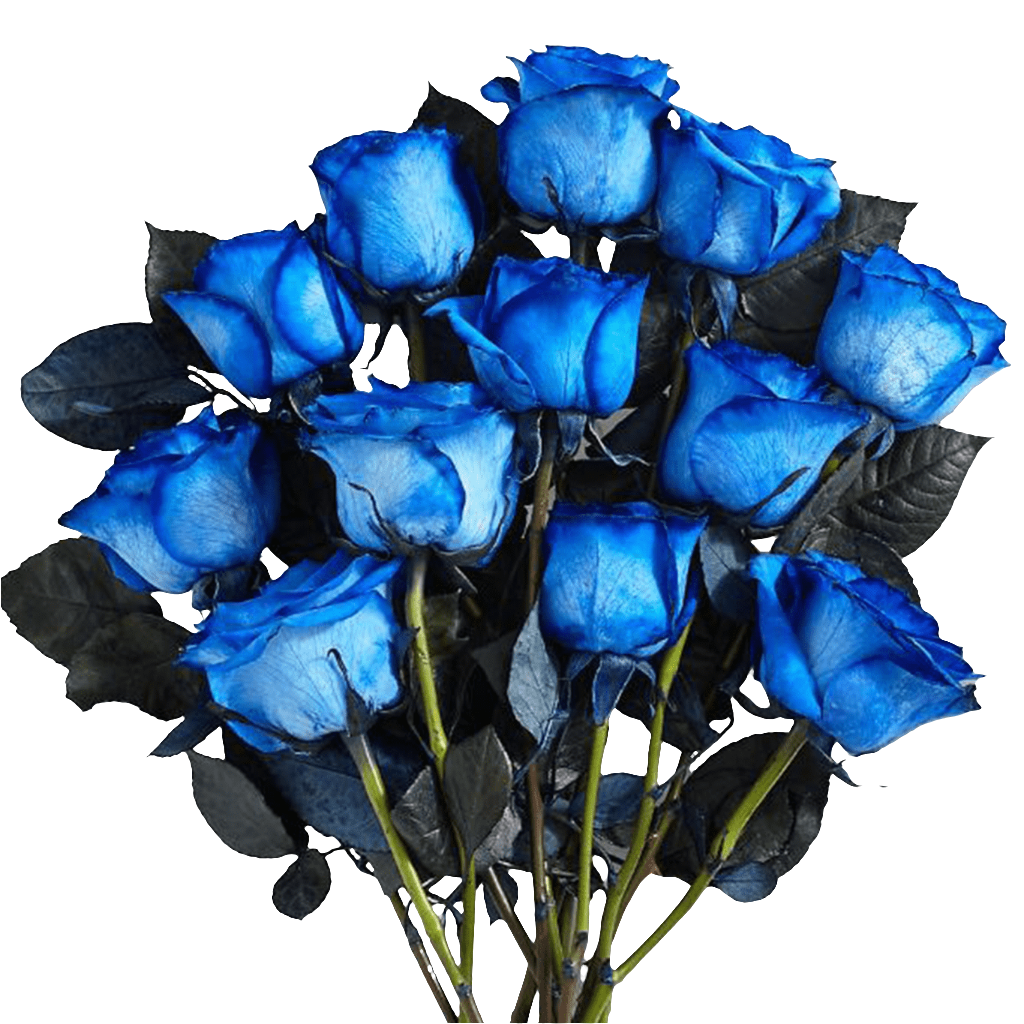 Flor O Rosa Azul