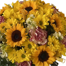 Cargar imagen en el visor de la galería, Prodigiosa - Caja Circular Flores Amarillas | Girasoles, Claveles y Gerberas Bogotá