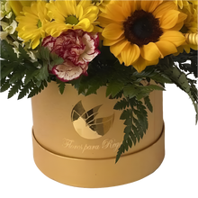 Cargar imagen en el visor de la galería, Prodigiosa - Caja Circular Flores Amarillas | Girasoles, Claveles y Gerberas Bogotá