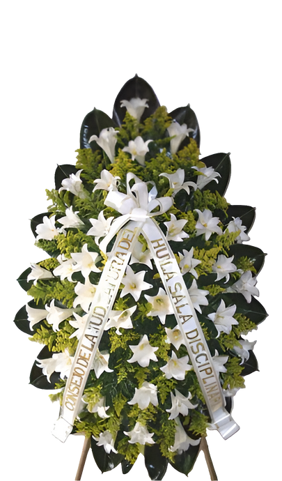 Funeral Arrangement/LILY