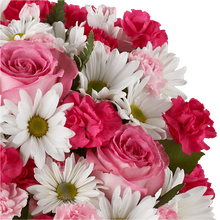 Load image into Gallery viewer, sweet sigh