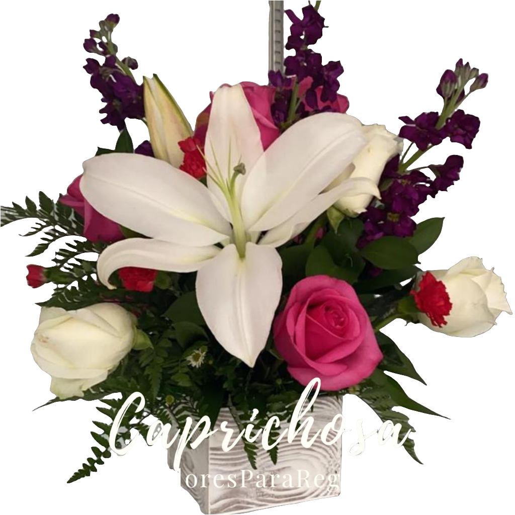 Caprichosa / Arreglo Floral