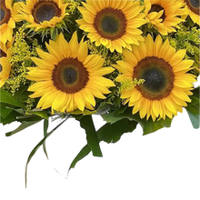 Cargar imagen en el visor de la galería, Girasoles Brillantes Eficientes Bogotá | Regalo Alegre
