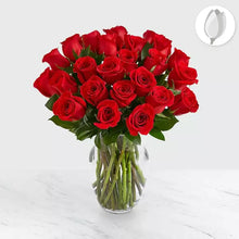 Cargar imagen en el visor de la galería, Cálida Rosas Rojas, 24 rosas en jarron. Un regalo directo desde el corazón, nuestro Ramo de Rosas Rojas. ¡Expresa tu amor con nuestro hermoso ramo de rosas rojas para San Valentín! Estas rosas rojas representan la pasión y el amor que sientes por tu ser amado. Floristería Flores Para Regalo.