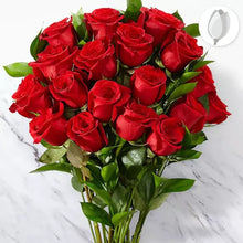 Cargar imagen en el visor de la galería, Cálida Rosas Rojas, 24 rosas en ramo. Un regalo directo desde el corazón, nuestro Ramo de Rosas Rojas. ¡Expresa tu amor con nuestro hermoso ramo de rosas rojas para San Valentín! Estas rosas rojas representan la pasión y el amor que sientes por tu ser amado. Floristería Flores Para Regalo.