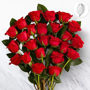 Cálida Rosas Rojas, 18 rosas en ramo. Un regalo directo desde el corazón, nuestro Ramo de Rosas Rojas. ¡Expresa tu amor con nuestro hermoso ramo de rosas rojas para San Valentín! Estas rosas rojas representan la pasión y el amor que sientes por tu ser amado. Floristería Flores Para Regalo.