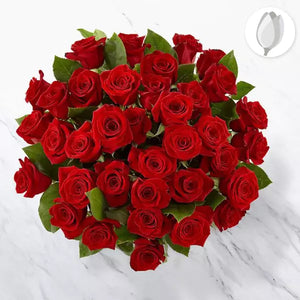 Vista arriba, tamaño 36 rosas. Celebra tu aniversario con Colosal Rosas Aniversario. Con hermosas rosas rojas, podrás expresar todo tu amor y cariño hacia tu pareja en este día tan especial.