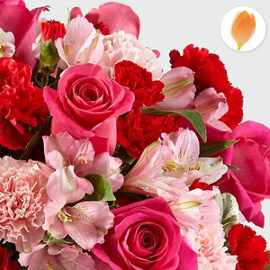 Imagen de referencia arreglo mediano, vista frontal. Encuentra el regalo perfecto para San Valentín con Conciliadora Flores ¡Sorprende a esa persona especial con la belleza y el significado de las flores! Demostrarás tu cariño y amor de una manera única y memorable. Floristería Flores Para Regalo.