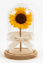 Cargar imagen en el visor de la galería, Girasol eterno en cúpula de cristal, un detalle elegante y lleno de luz para sorprender en cualquier ocasión