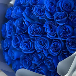 Imagen con un ramo de 50 rosas azules para celebrar la fiesta del Hanukkah, entrega a domicilio en Bogotá y Miami, floristería Flores 24 Horas, imagen de ramo completo. Detalle 2