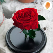 Cargar imagen en el visor de la galería, Vista de rosa preservada en tallo corto. Independiente Rosa Preservada. Detalles para amor y amistad - Rosas Preservadas. Flores 100% Naturales; Las flores preservadas son productos 100% naturales. Floristería Flores Para Regalo, domicilio en Bogotá.