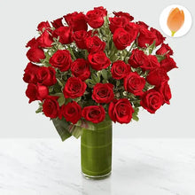 Cargar imagen en el visor de la galería, Imagen que corresponde a las rosas: Luminoso Ramo Rosas, coleccion San Valentín, Floristería Flores Para Regalo. Luminoso Ramo Rosas, Bouquet Rosas Rojas Luxury x48 Unidades de Rosas Rojas de lujo, bellamente situadas en un florero cilíndrico de vidrio transparente.