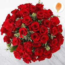 Cargar imagen en el visor de la galería, Imagen que corresponde a las rosas: Luminoso Ramo Rosas, detalle arriba, coleccion San Valentín, Floristería Flores Para Regalo. Luminoso Ramo Rosas, Bouquet Rosas Rojas Luxury x48 Unidades de Rosas Rojas de lujo, bellamente situadas en un florero cilíndrico de vidrio transparente.