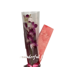 Cargar imagen en el visor de la galería, Orquídea en Caja, presentación floral decorativa para regalo