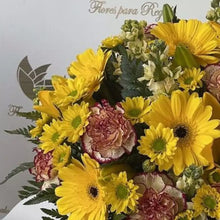 Load image into Gallery viewer, Primavera Flores Amarillas es una hermosa caja de lujo con una mezcla de flores como las gerberas, lirios, claveles, alelíes, acompañamiento en tonos verdes y margaritas en tonos amarillos, flores para regalar, cumpleaños, bienvenida, regalos únicos, Flores Para Regalo