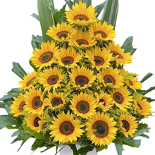 Cargar imagen en el visor de la galería, Girasoles Brillantes Eficientes Bogotá | Regalo Alegre