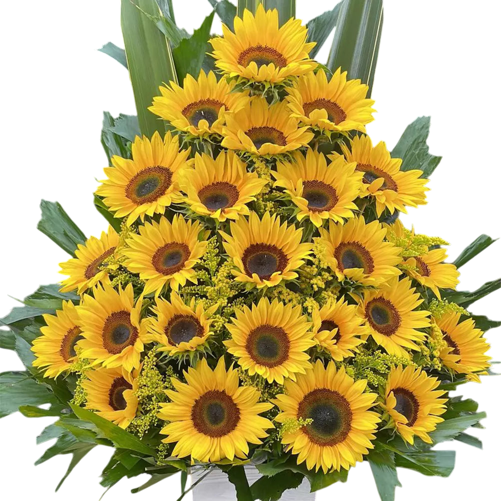 Girasoles Brillantes Eficientes Bogotá | Regalo Alegre