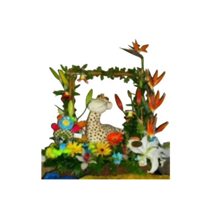 Flores Nacimiento Rey Casa Niño 24H Bogotá Baby Shower Entrega Inmediata