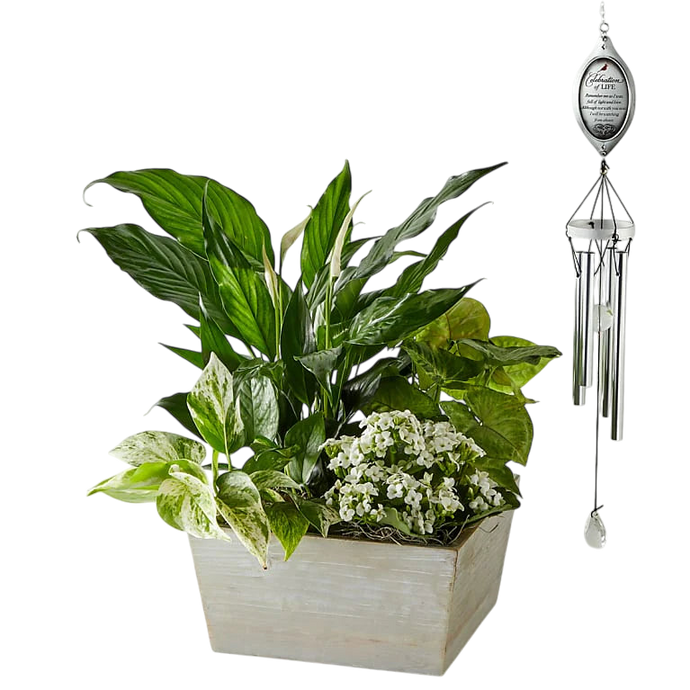 Regalos de condolencias