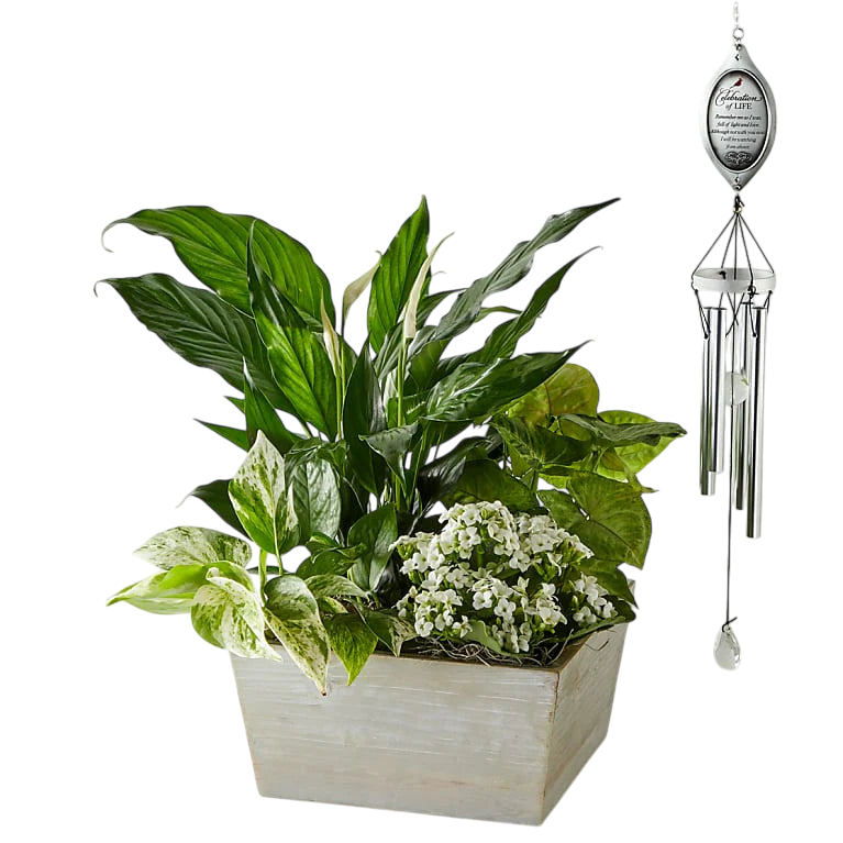 Regalos de condolencias