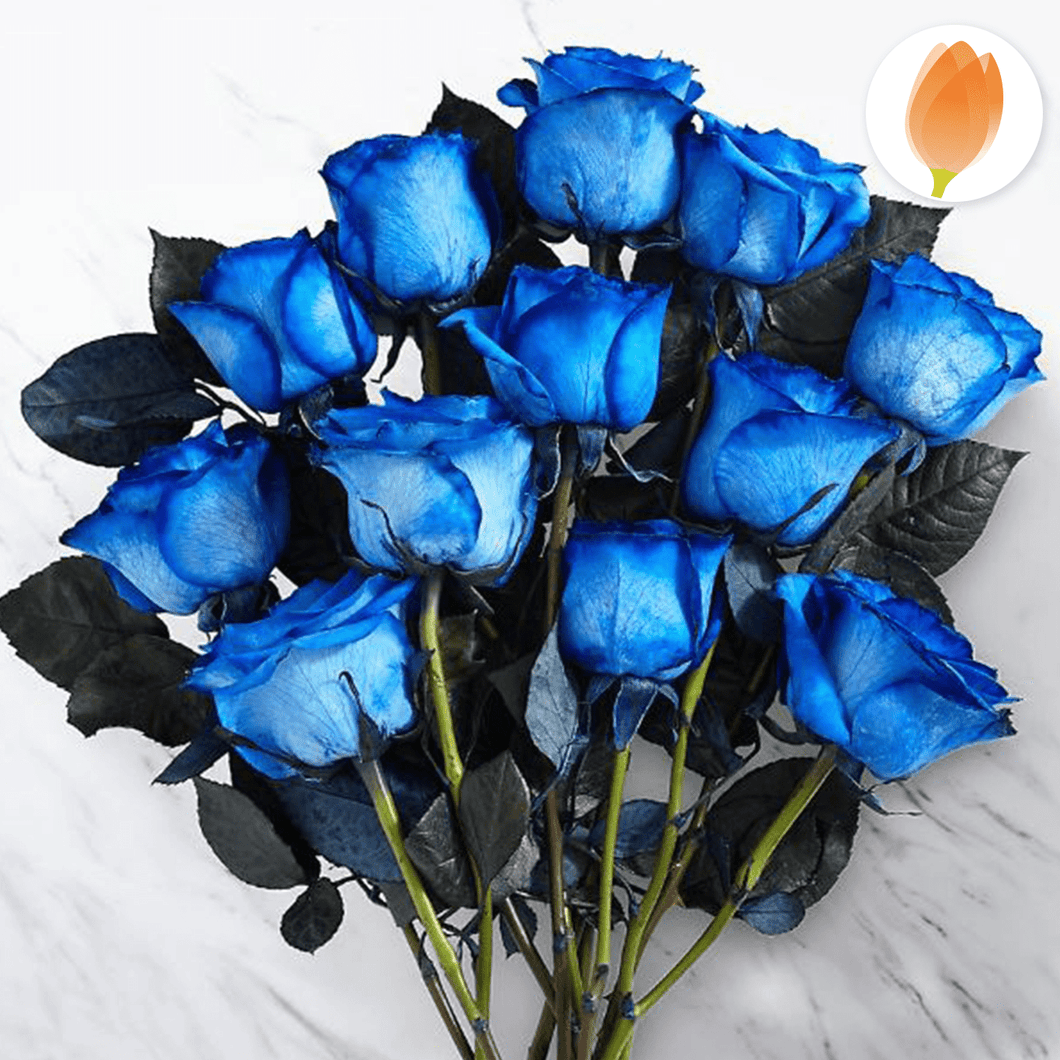 Fiesta Azul (12 rosas azules) - Flores 24 Horas